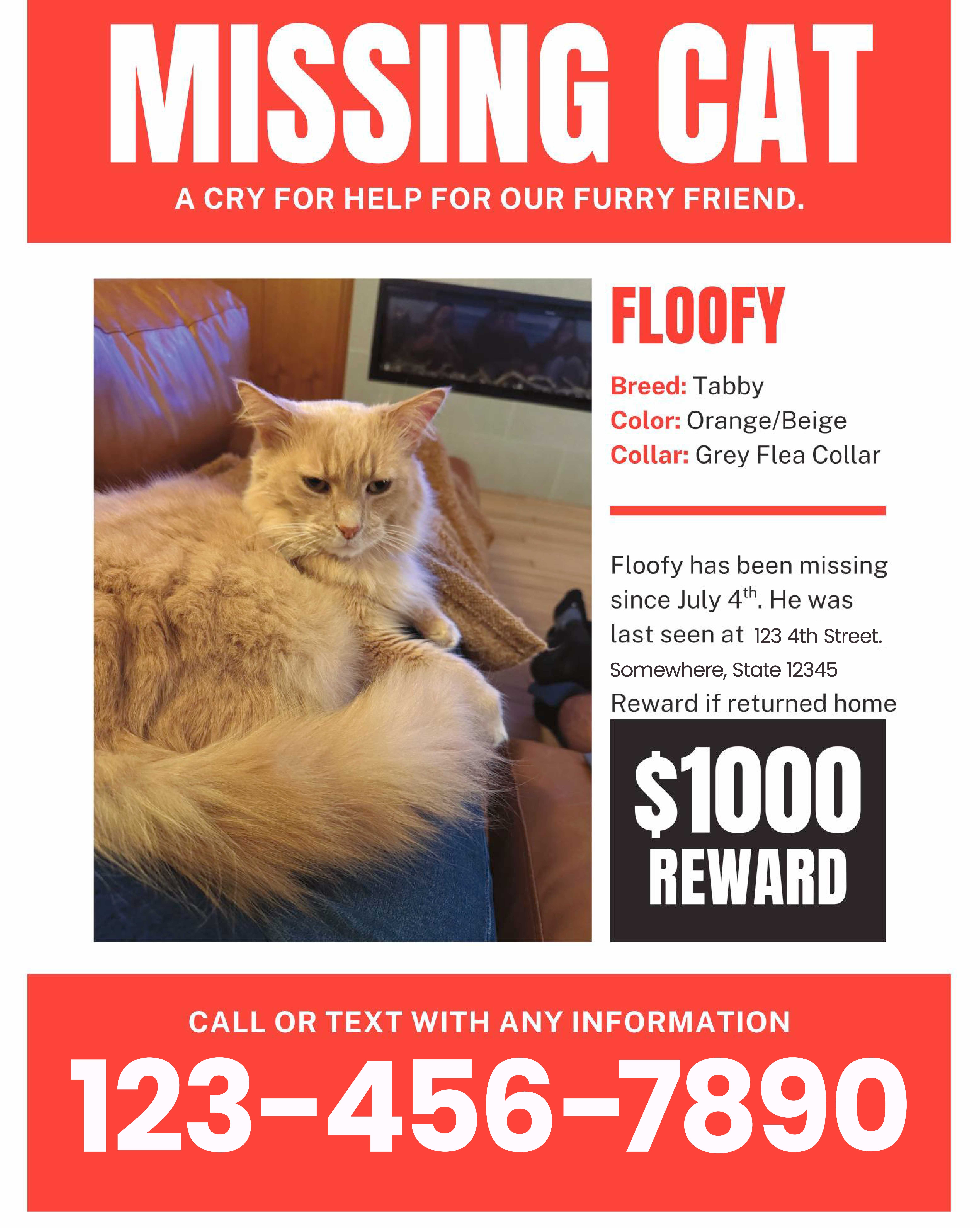 Lost pet poster, missing pet poster templates