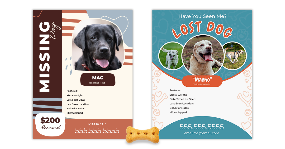 Lost pet poster design tips