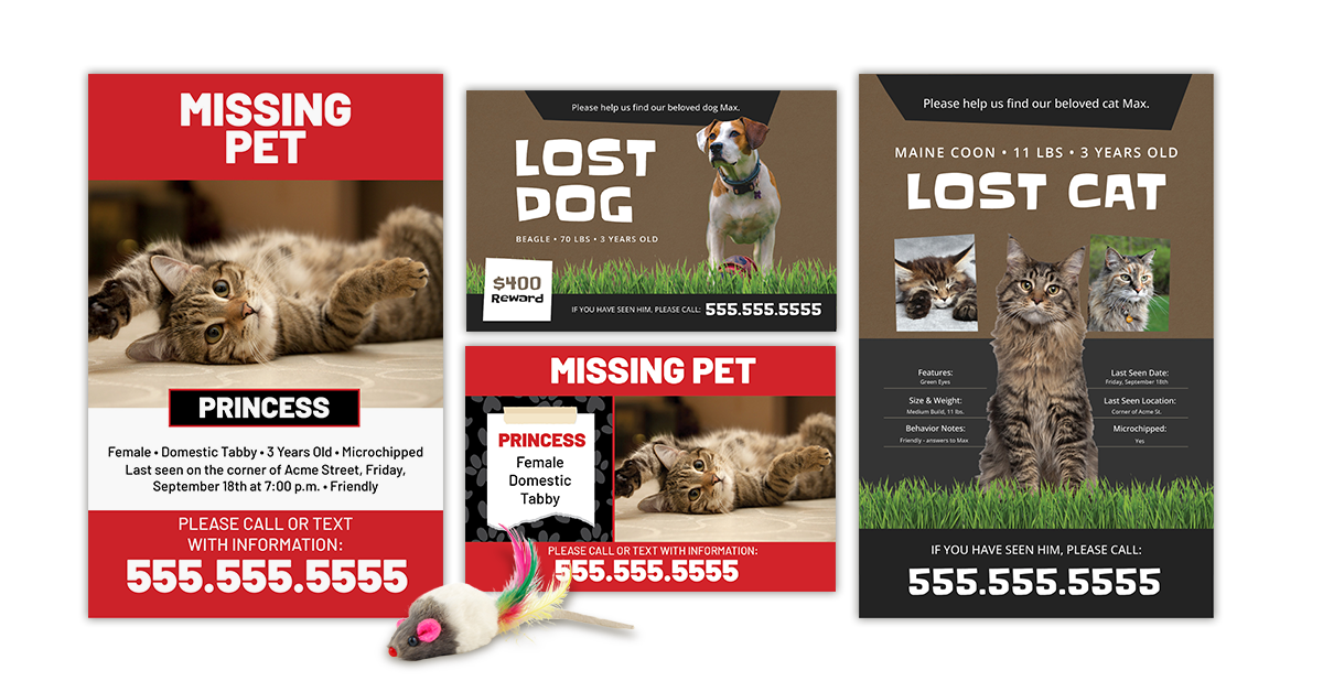 PetPoster Postcard templates