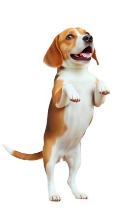 dog-stand
